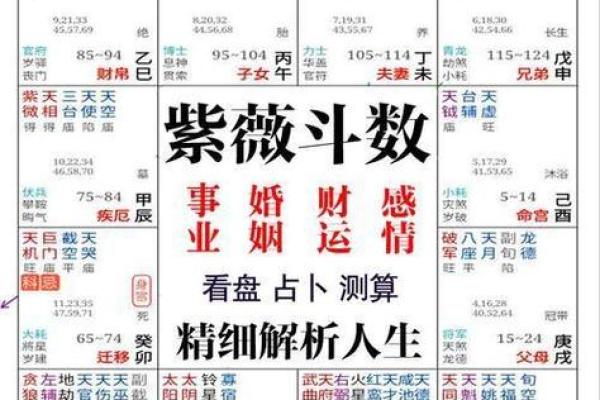 如何通过八字命理了解和改善个人运势？